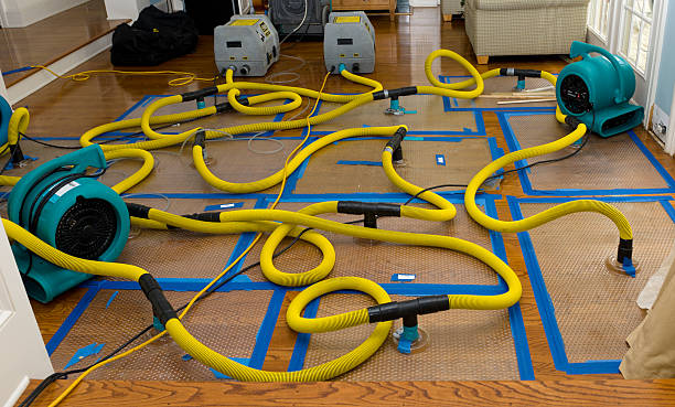 Professional Sewage Cleanup technician working in Johannesburg, CA